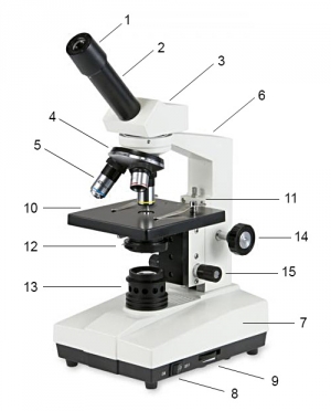 INTRACO MICRO spol s.r.o. – optické mikroskopy a zobrazovací technika